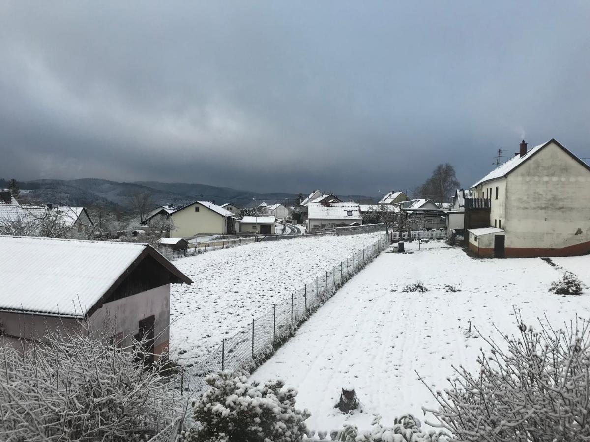 Wohnung Mit Panoramablick ゲロルシュタイン エクステリア 写真